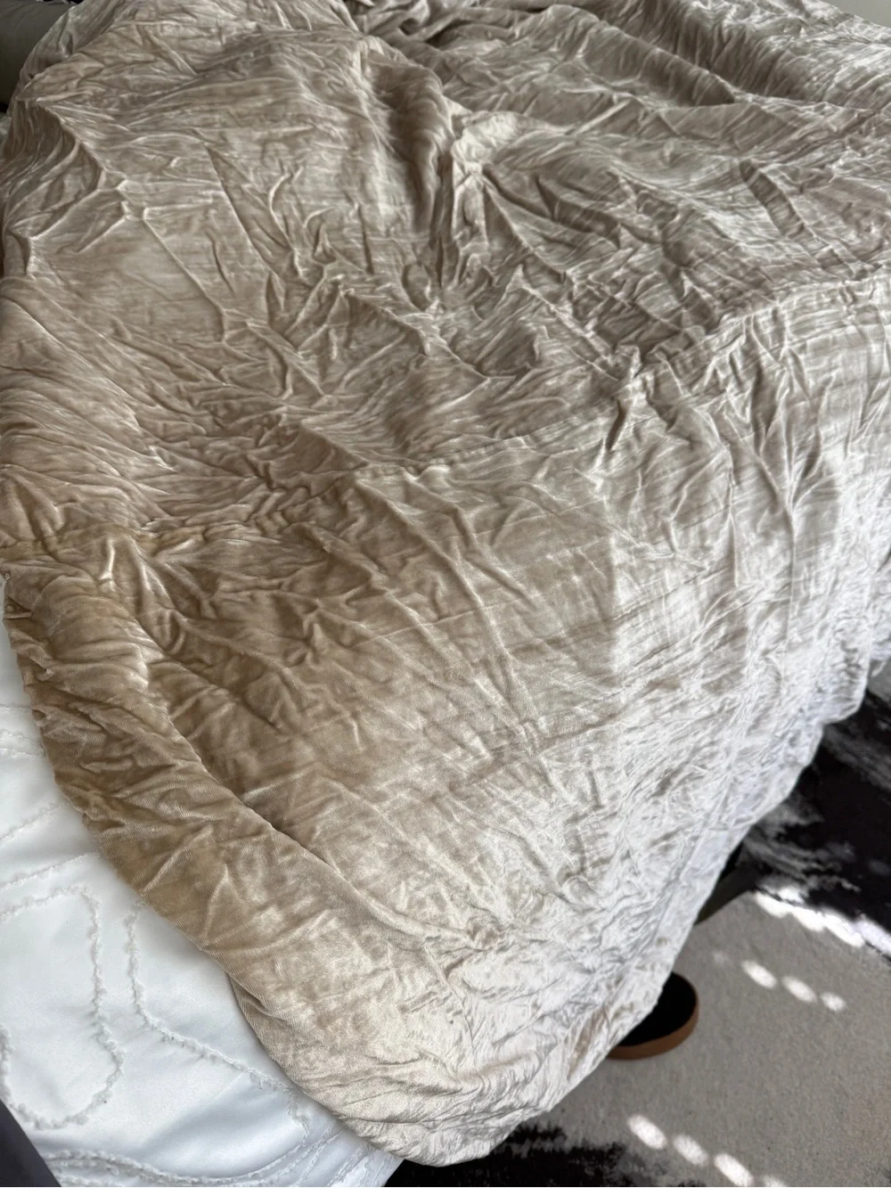 West Elm sumptuous velvet